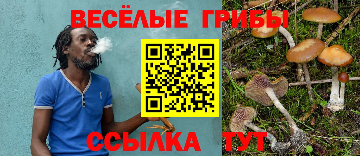 Галлюциногенные грибы Magic Shrooms  Псилоцибиновые грибы мухоморы  Александров  Вход с VPN 